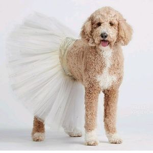 Meet your Posher, Hope